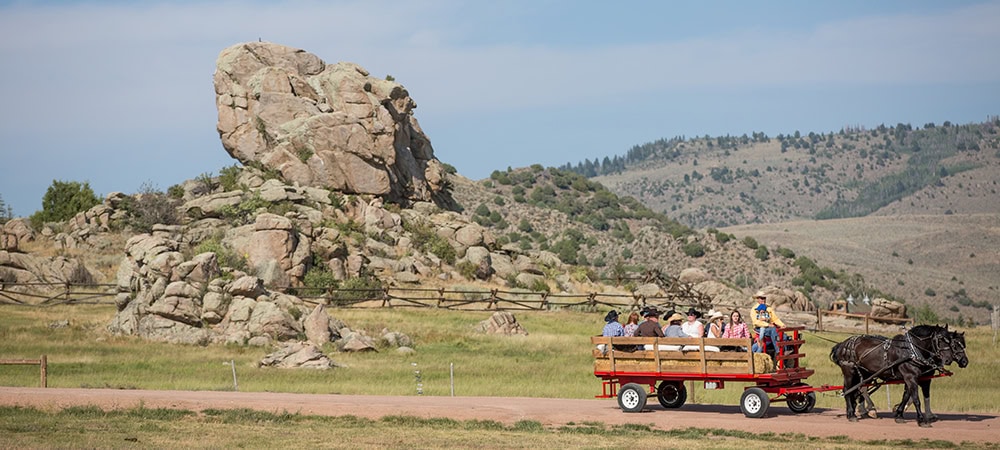 People experiencing the tradition of wagon driving