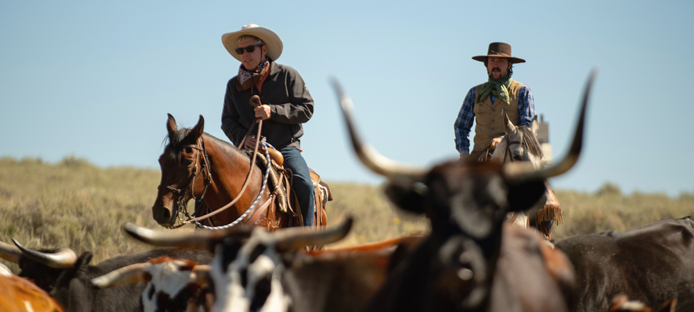 Ranchers on a thrilling cattle drive